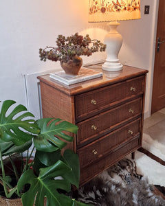 Mid Century Bamboo & Rattan Chest of Drawers