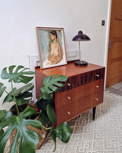 Mid Century Mahogany & Teak Chest of Drawers