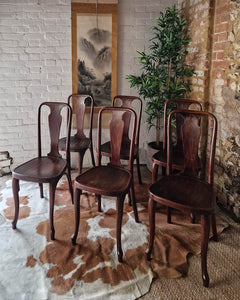 Antique Early 20th Century Thonet Queen Anne Style Bentwood Chairs (x6)