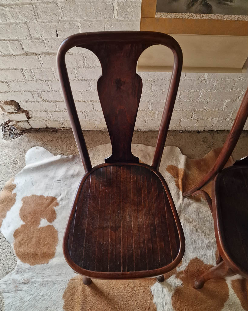 Antique Early 20th Century Thonet Queen Anne Style Bentwood Chairs (x6)